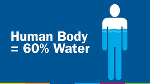 human body is 60% water